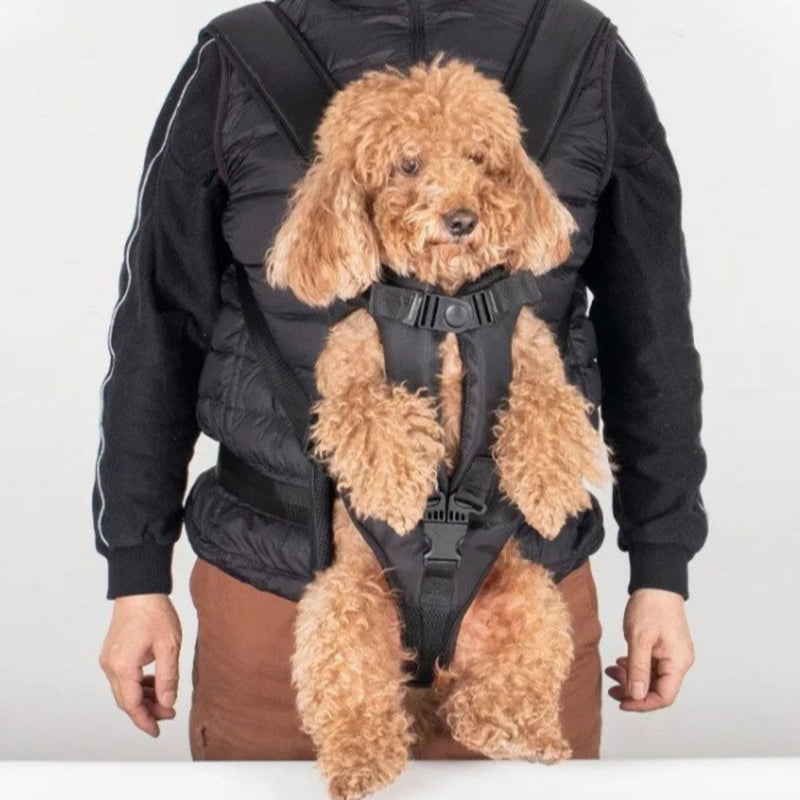 Ergonomic Front Carrier Harness for Hiking with Small Dogs - product view 5 | Buffalo Gears