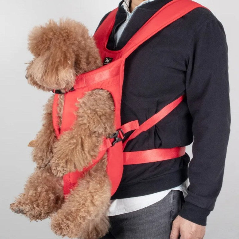 Ergonomic Front Carrier Harness for Hiking with Small Dogs - product view 12 | Buffalo Gears