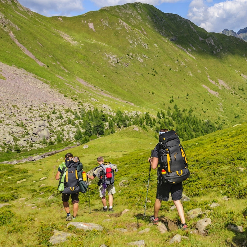 Men's All-Weather Waterproof Trekking Shoes for Every Trail - product view 8 | Buffalo Gears
