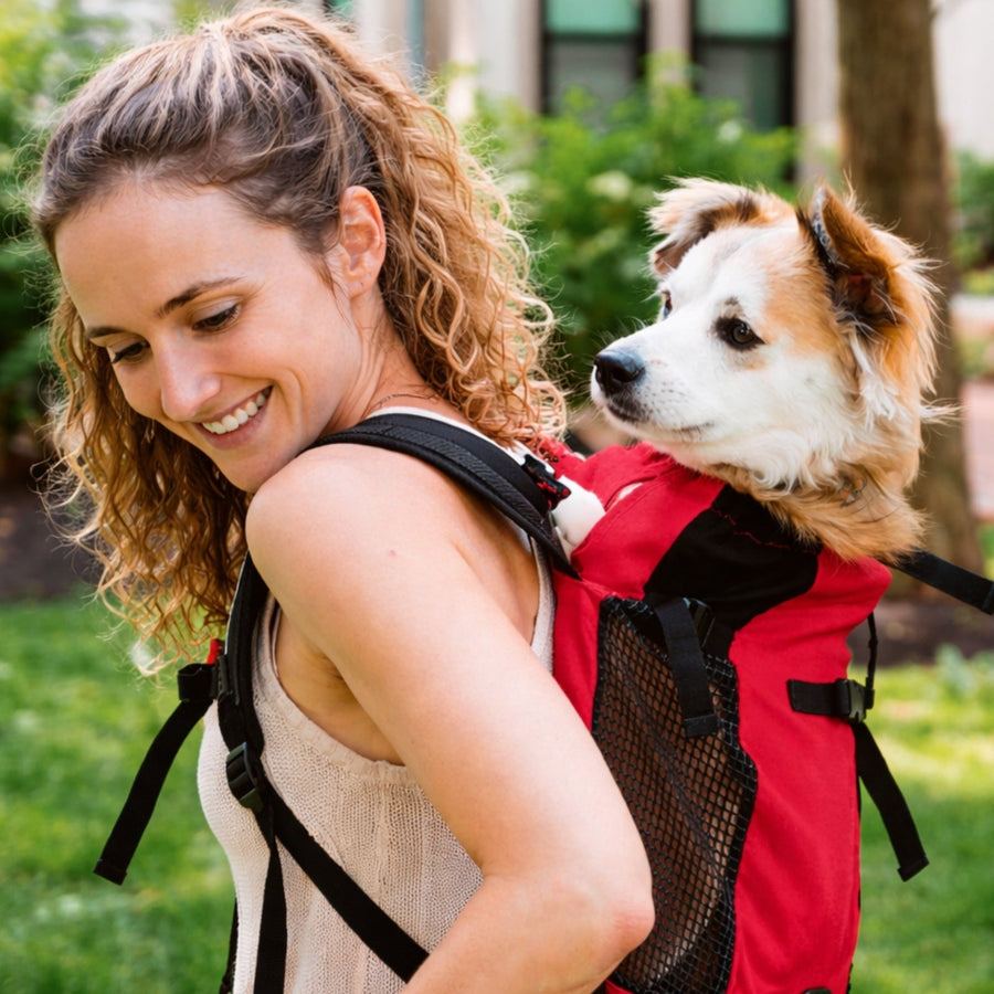 Breathable Dog Carrier Backpack for Hiking Trips - product view 3 | Buffalo Gears