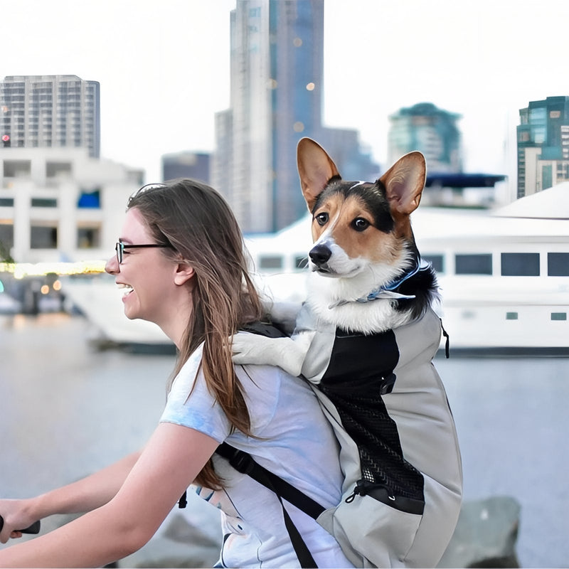 Breathable Dog Carrier Backpack for Hiking Trips - product view 7 | Buffalo Gears
