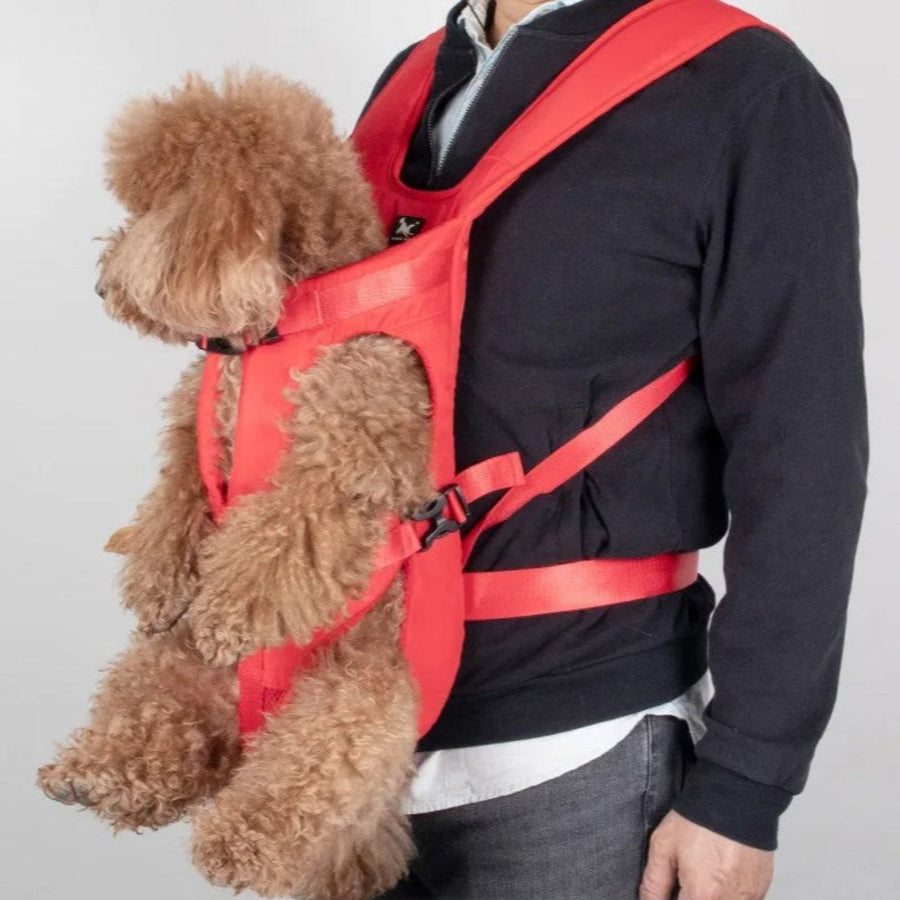 Ergonomic Front Carrier Harness for Hiking with Small Dogs - product view 12 | Buffalo Gears
