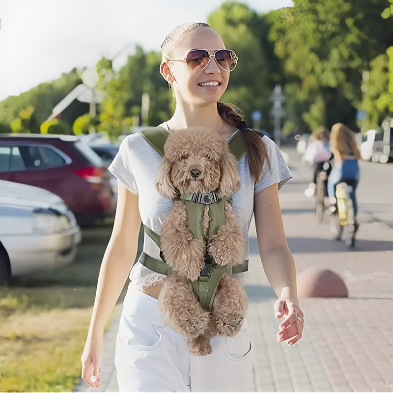 Ergonomic Front Carrier Harness for Hiking with Small Dogs - product view 15 | Buffalo Gears