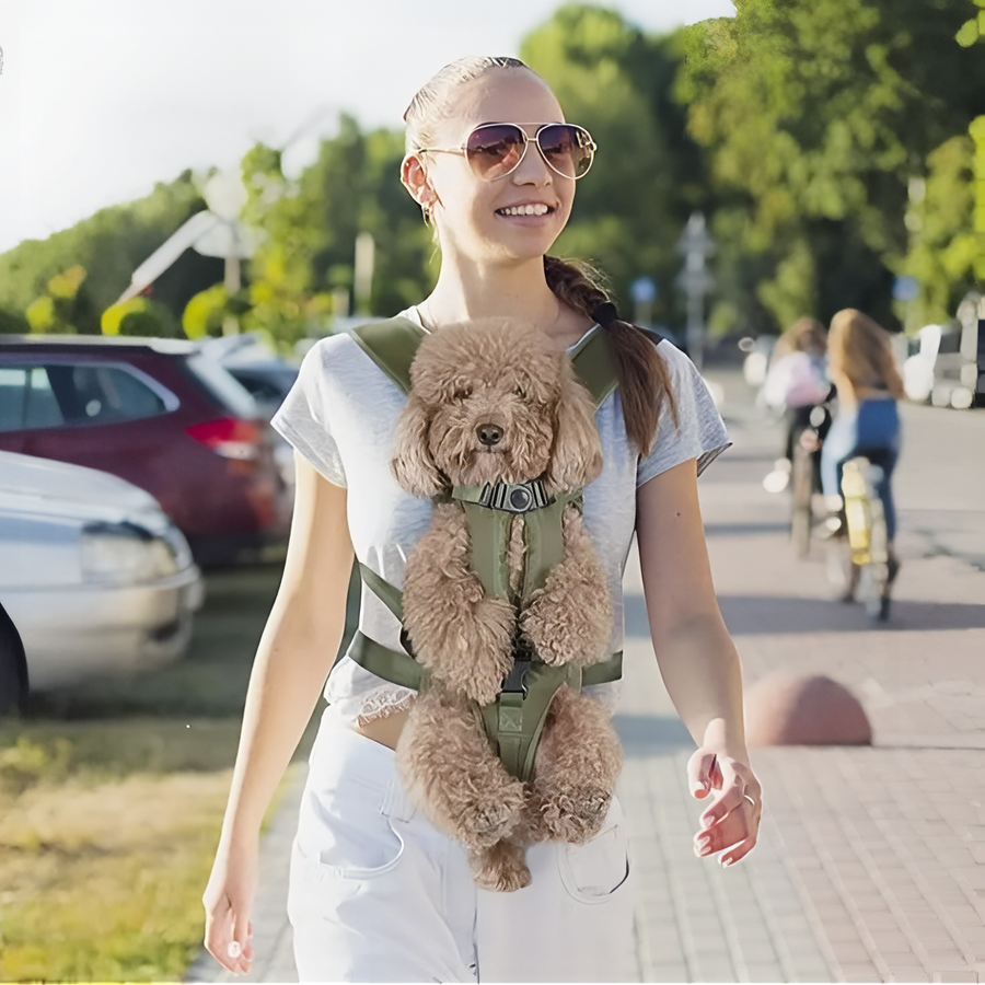 Ergonomic Front Carrier Harness for Hiking with Small Dogs - product view 15 | Buffalo Gears