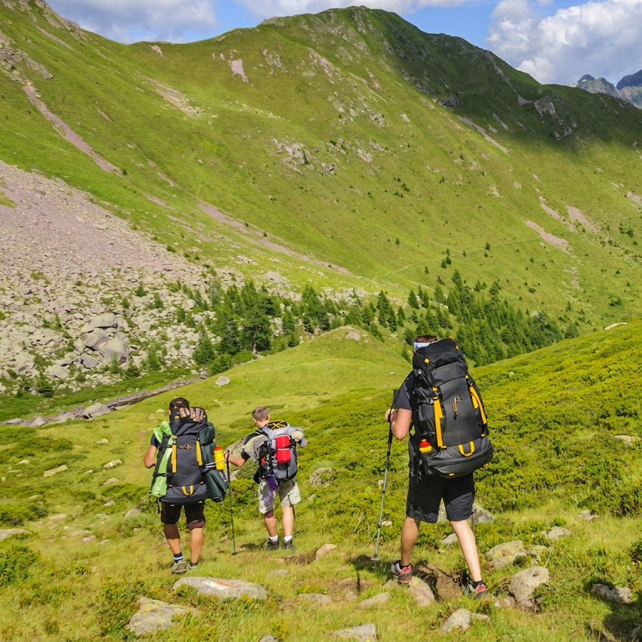 Men's All-Weather Waterproof Trekking Shoes for Every Trail - product view 8 | Buffalo Gears